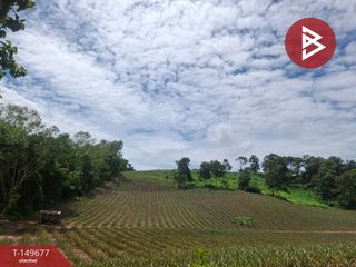 For sale land in Wiang Chiang Rung, Chiang Rai