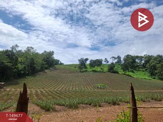 For sale land in Wiang Chiang Rung, Chiang Rai