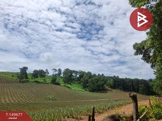 For sale land in Wiang Chiang Rung, Chiang Rai