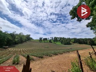 For sale land in Wiang Chiang Rung, Chiang Rai