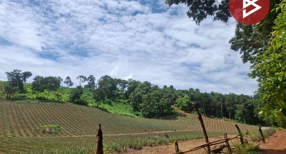 For sale land in Wiang Chiang Rung, Chiang Rai