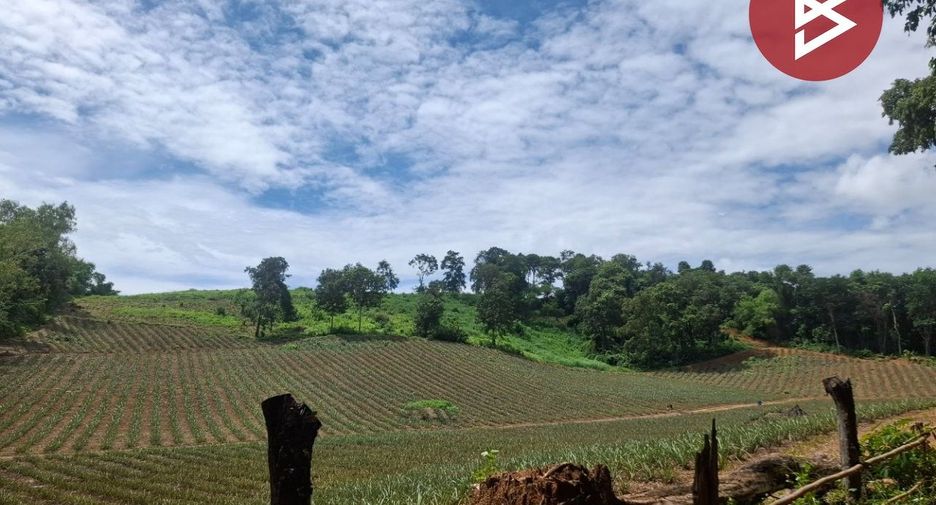 For sale land in Wiang Chiang Rung, Chiang Rai