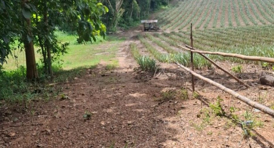 For sale land in Wiang Chiang Rung, Chiang Rai