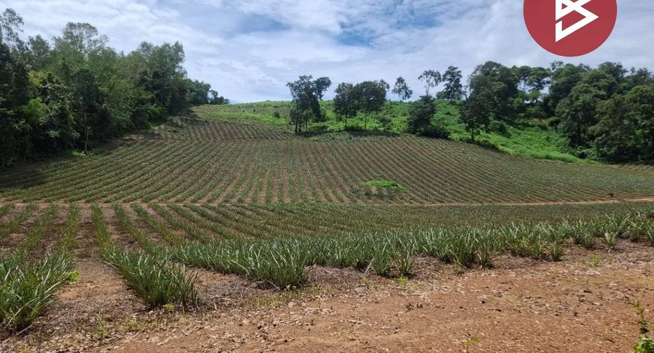 For sale land in Wiang Chiang Rung, Chiang Rai