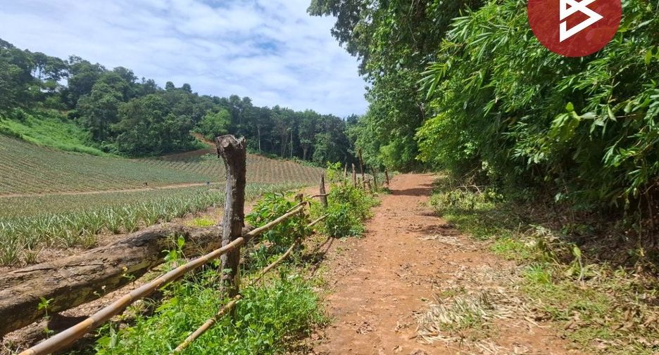 For sale land in Wiang Chiang Rung, Chiang Rai