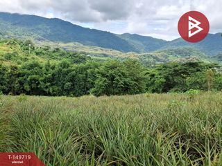 For sale land in Mueang Chiang Rai, Chiang Rai