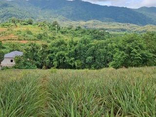 For sale land in Mueang Chiang Rai, Chiang Rai