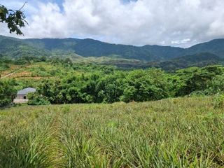 For sale land in Mueang Chiang Rai, Chiang Rai