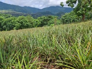 For sale land in Mueang Chiang Rai, Chiang Rai