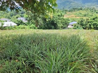 For sale land in Mueang Chiang Rai, Chiang Rai