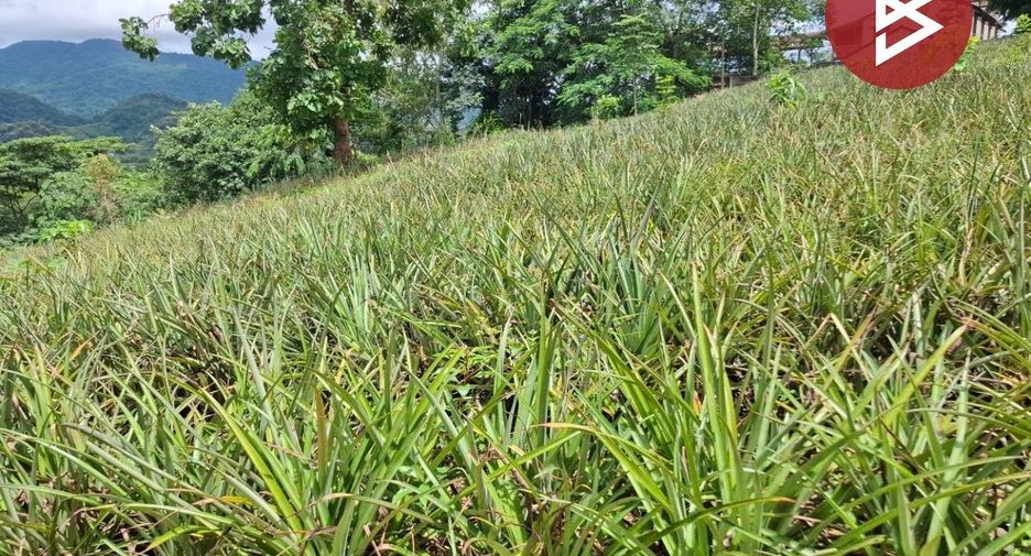 For sale land in Mueang Chiang Rai, Chiang Rai