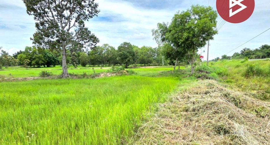 For sale land in Na Dun, Maha Sarakham
