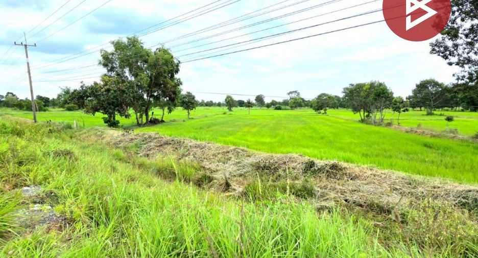 For sale land in Na Dun, Maha Sarakham
