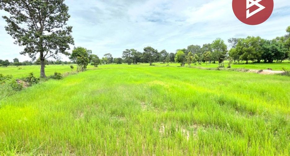 For sale land in Na Dun, Maha Sarakham