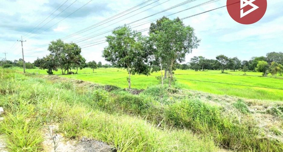 For sale land in Na Dun, Maha Sarakham