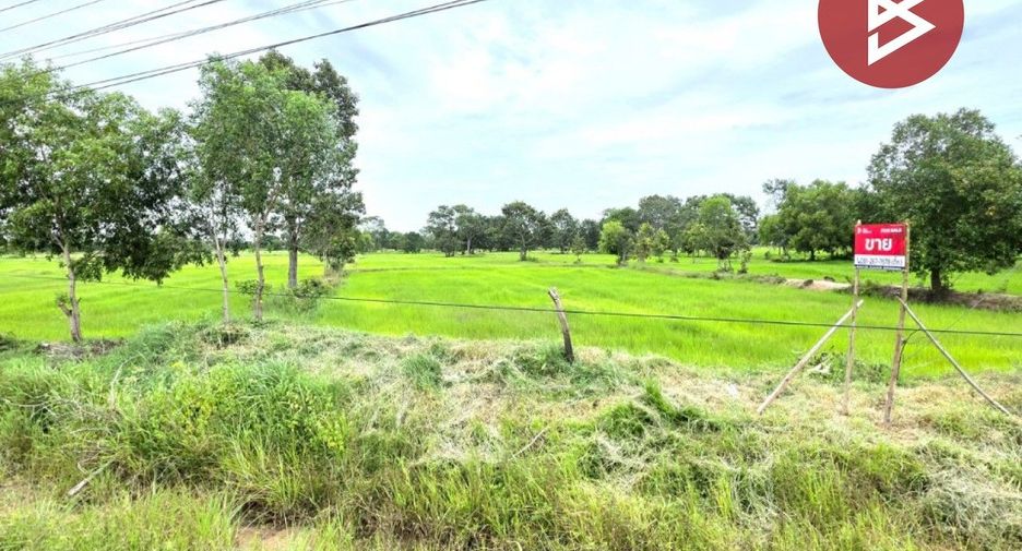 For sale land in Na Dun, Maha Sarakham