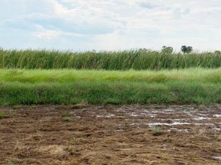 For sale land in Bang Nam Priao, Chachoengsao