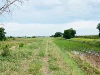 For sale land in Bang Nam Priao, Chachoengsao