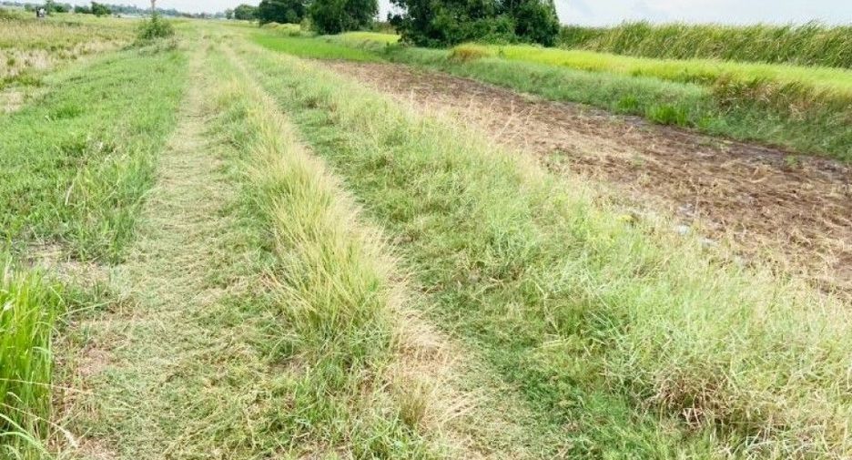 For sale land in Bang Nam Priao, Chachoengsao