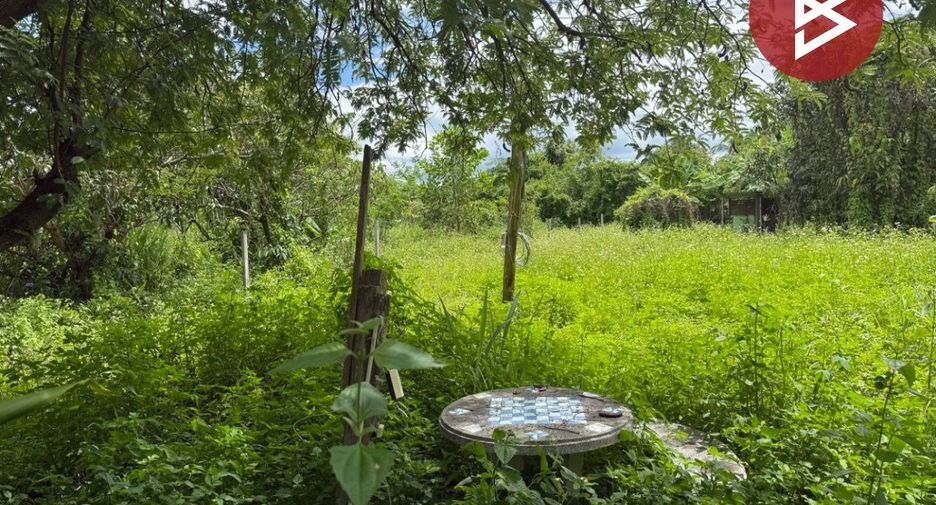 Terreno en venta en Mae Wang, Chiang Mai