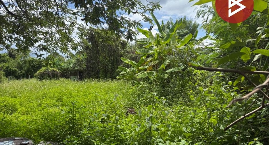 Terreno en venta en Mae Wang, Chiang Mai