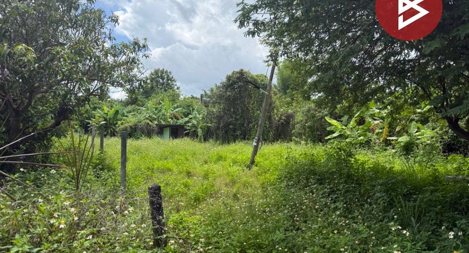 Terreno en venta en Mae Wang, Chiang Mai