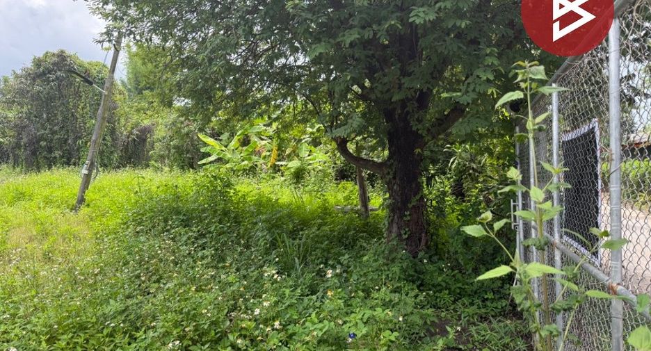 Terreno en venta en Mae Wang, Chiang Mai