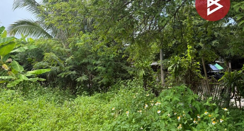 Terreno en venta en Mae Wang, Chiang Mai