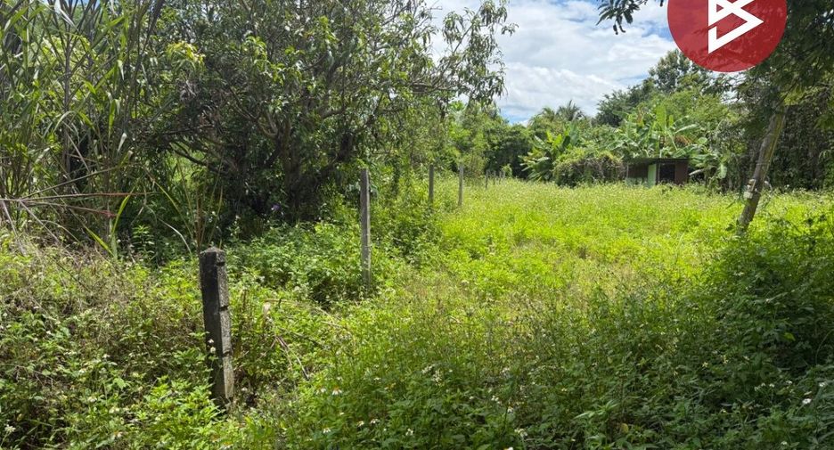 Terreno en venta en Mae Wang, Chiang Mai