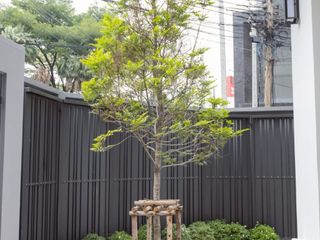 Haus zur Miete und zum Kauf mit 3 Zimmer in Bueng Kum, Bangkok