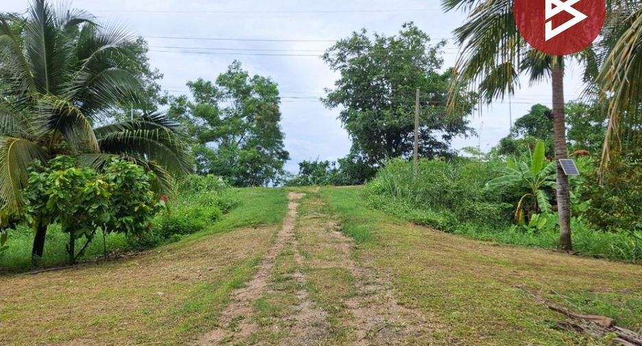 For sale land in Wiang Chiang Rung, Chiang Rai