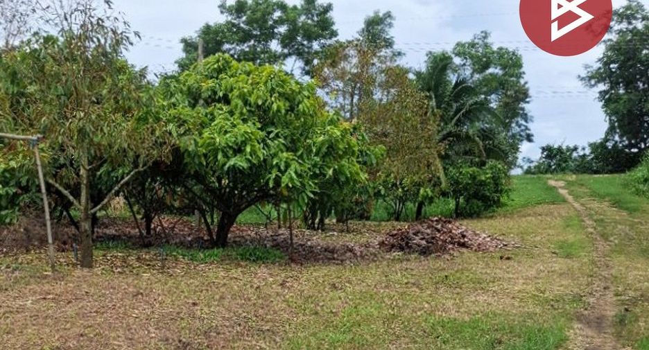 For sale land in Wiang Chiang Rung, Chiang Rai