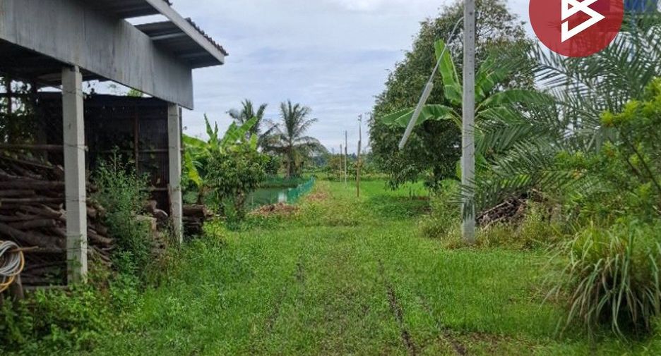 For sale land in Wiang Chiang Rung, Chiang Rai