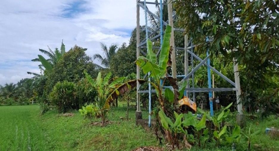 For sale land in Wiang Chiang Rung, Chiang Rai