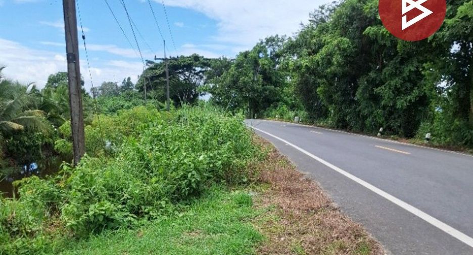 For sale land in Wiang Chiang Rung, Chiang Rai