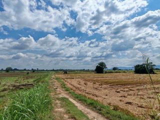 For sale land in Mueang Nakhon Sawan, Nakhon Sawan