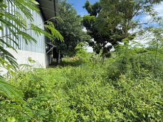 For sale land in Phanat Nikhom, Chonburi