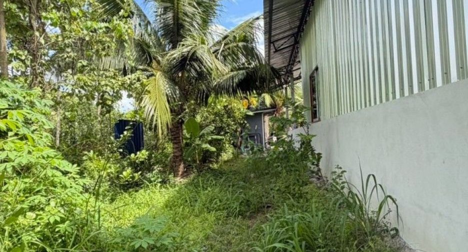 For sale land in Phanat Nikhom, Chonburi