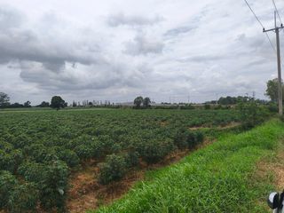 出售 土地 在 Kham Thale So, Nakhon Ratchasima