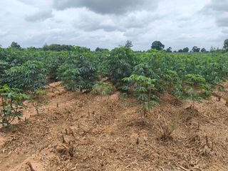 出售 土地 在 Kham Thale So, Nakhon Ratchasima