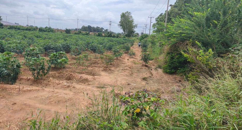 出售 土地 在 Kham Thale So, Nakhon Ratchasima