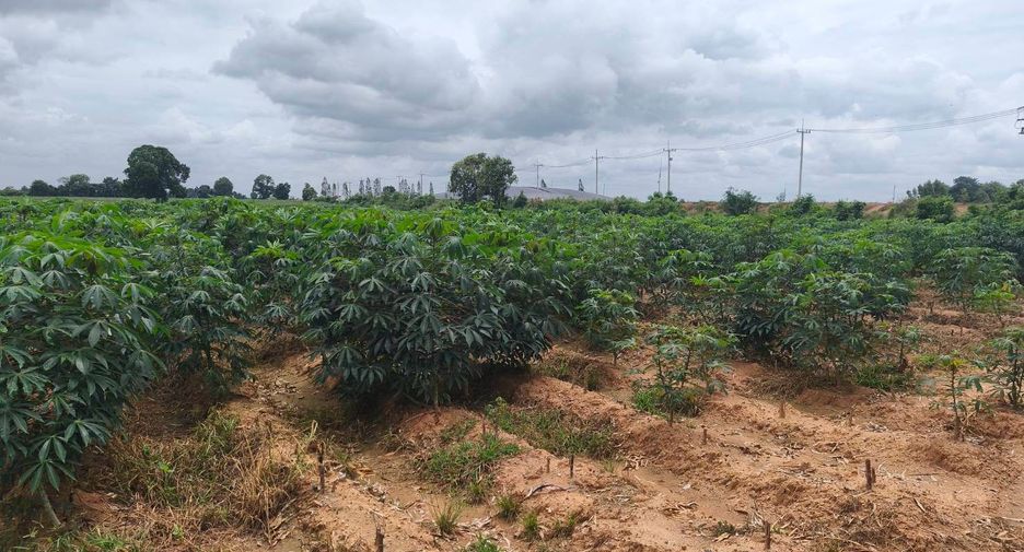 出售 土地 在 Kham Thale So, Nakhon Ratchasima