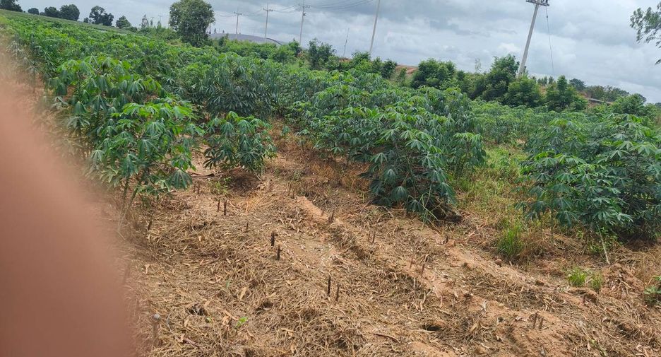 出售 土地 在 Kham Thale So, Nakhon Ratchasima
