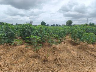 出售 土地 在 Kham Thale So, Nakhon Ratchasima