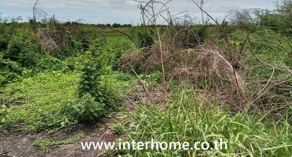 For sale land in Khlong Luang, Pathum Thani