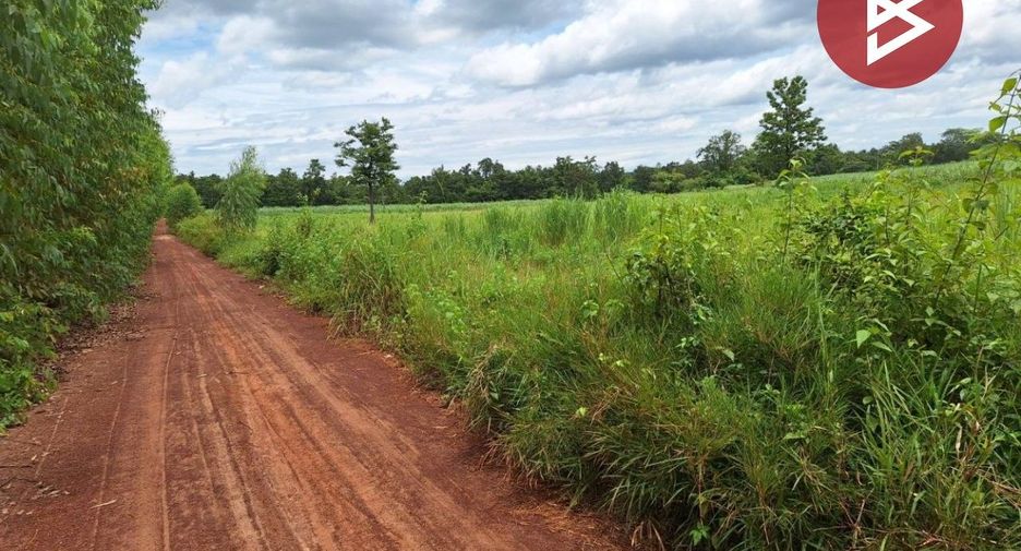 For sale land in Ban Phue, Udon Thani