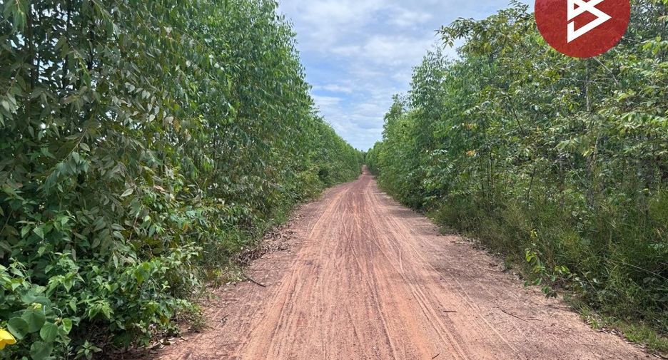 For sale land in Ban Phue, Udon Thani