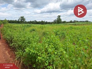 For sale land in Ban Phue, Udon Thani