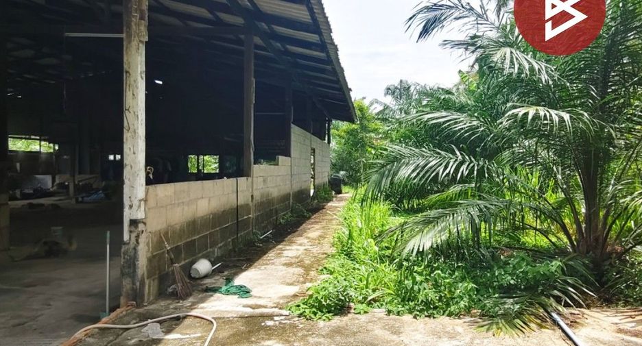 出售 土地 在 Hua Sai, Nakhon Si Thammarat
