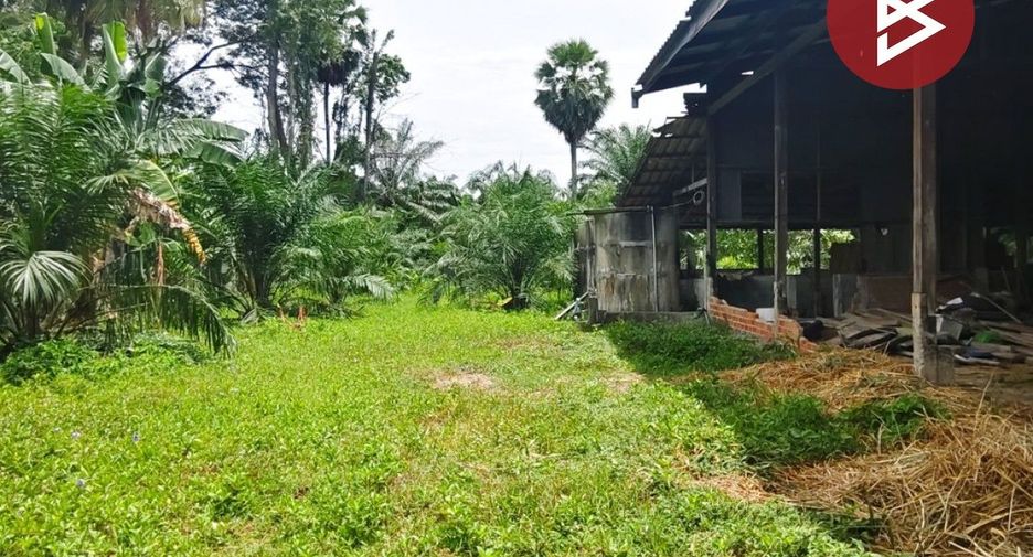 出售 土地 在 Hua Sai, Nakhon Si Thammarat